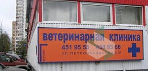 Ветеринарная клиника Рыжий Лис на Петрозаводской улице