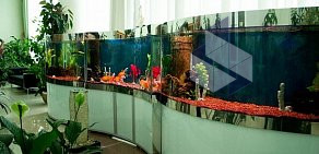 Интернет-магазин аквариумов Золотая рыбка