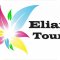 Туристическое агентство Elian Tour
