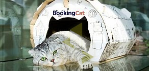 Гостиница для животных BookingCat в Остаповском проезде