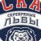 Хоккейная школа СКА-Серебряные Львы на Суздальском проспекте