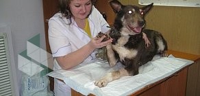 Ветеринарная клиника Кот Матроскин на улице Премудрова