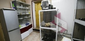 Ветеринарный центр Здоровые лапки на Армавирской улице