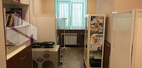 Ветеринарная клиника Кот и Пёс в Октябрьском районе