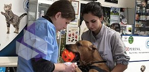 Клиника ветеринарной медицины Аксинья