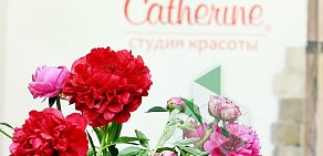 Салон красоты Catherine Premier на Воронцовской улице, 32 стр 1