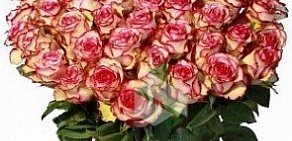 Салон цветов Миллион роз