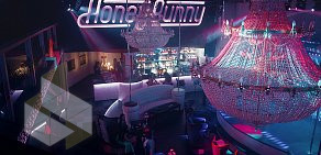 Стриптиз-клуб Honey Bunny на улице Красных Партизан 