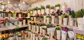 Магазин цветов Botanica