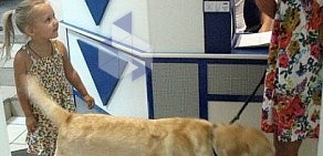 Сеть ветеринарных центров Вирион на Долгоозёрной улице