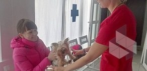 Ветеринарная клиника ВЕТТАЙМ в городе Чехов