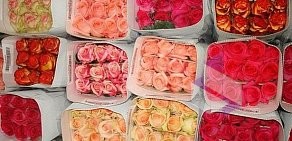 Служба доставки цветов Букеттерия на Дубовой улице