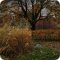 Парк Большой розарий в парке Сокольники