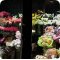Салон цветов Jolly Bunch на метро Красные ворота