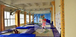 Спортивно-тренировочный батут-центр Кенгуру в Ленинском районе