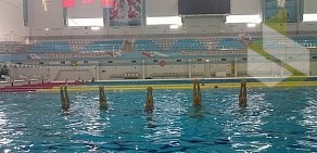 Спортивный клуб синхронного плавания Ариана на метро Каширская
