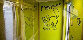 Зоогостиница для кошек Мурриотт в переулке Карякина