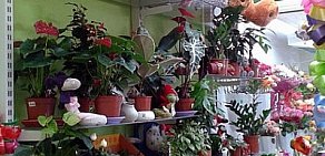 Магазин Цветы в Заволжском районе