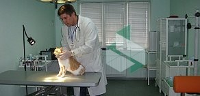 Ветеринарная клиника НеБолит в Мытищах
