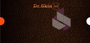 Центр по восстановлению изделий из натуральной кожи Dr.Skin № 1