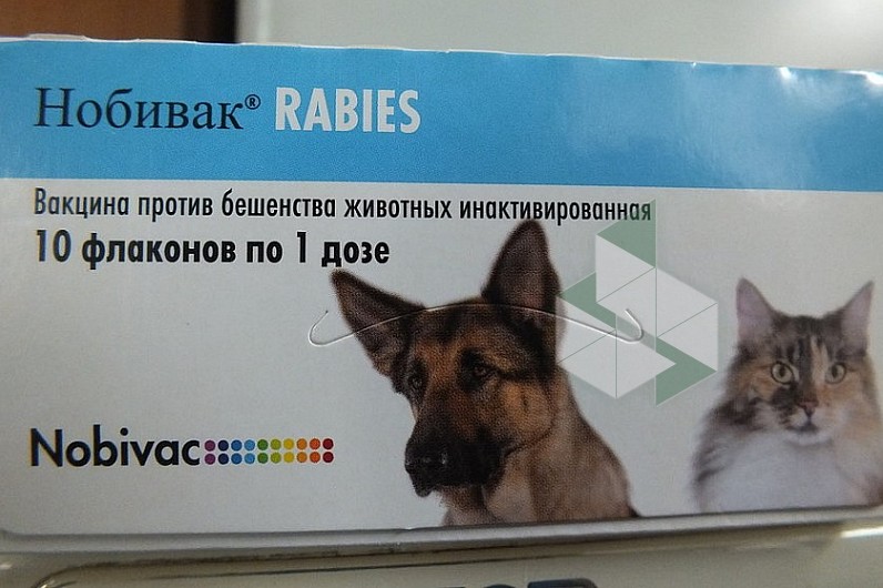 Ветеринарная клиника друг иркутск