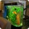 Компания по обслуживанию и продаже аквариумов и уходу за их обитателями Аквариумы от Ихтиандра