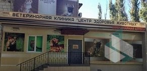 Ветеринарная клиника Доктора Веденеева на улице Космонавтов в Волжском