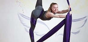 Студия воздушной гимнастики Dance and Circus Project