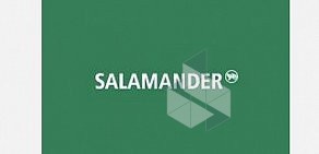 Магазин Salamander в ТЦ Кожевники