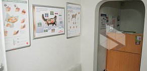 Ветеринарная клиника Био-Вет на метро Бабушкинская