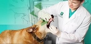 Ветеринарная стоматологическая клиника ВЕТДЕНТ