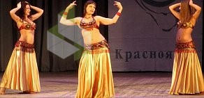 Школа танцев Студия восточного танца и стрип-пластики Тамары Ершовой