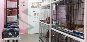 Сеть клиник Центр ветеринарной медицины на Нижней Первомайской улице