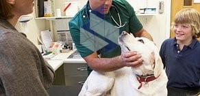 Выездная ветеринарная служба PetVeterinar