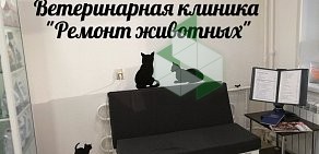 Ветеринарная клиника Ремонт животных на улице Шишкова